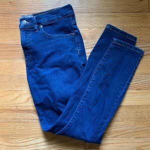 Everlane Authentic High-Rise Stretch Skinny Jean